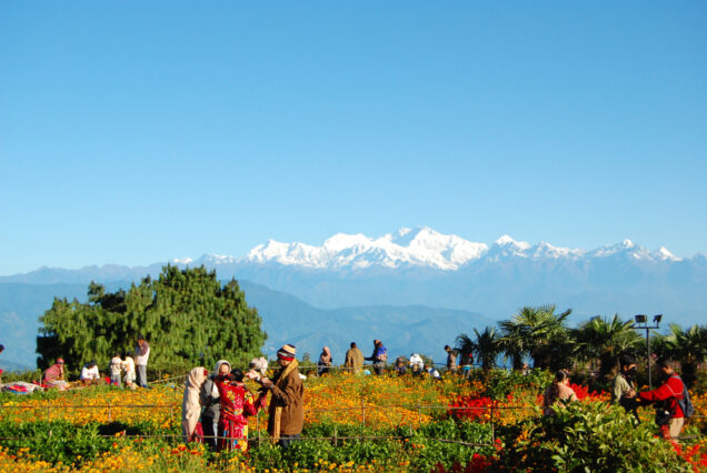 Darjeeling